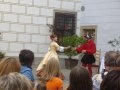 IMGP0982.JPG